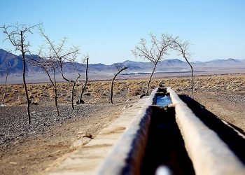 کشاورزی دیجیتال کشور با تلاش ۱۰۰ شرکت دانش‌بنیان توسعه یافت