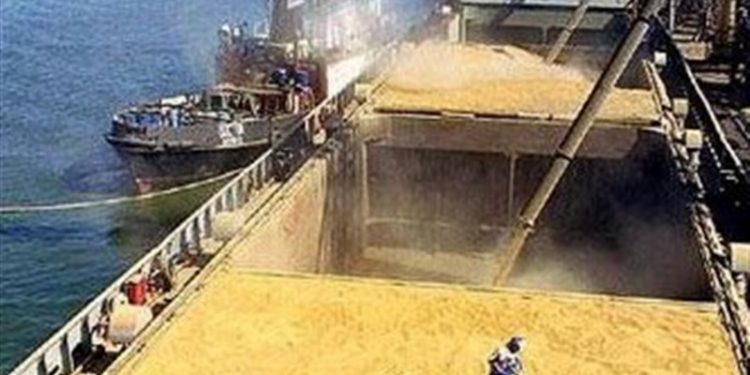 جزئیات موجودی ۶.۵میلیونتنی کالاهای اساسی در بنادر/ ماجرای تخصیص ارز به کالاهای غیررسوبی چیست؟