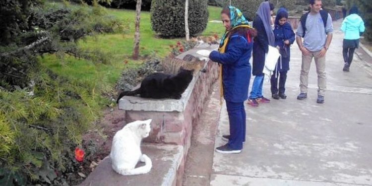 اظهارات جنجالی نماینده مجلس درباره نگهداری حیوانات خانگی/ جلوی آن را میگیریم!