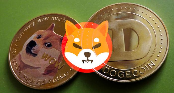 اسکویید گیم کاربران را فریب داد / شیبا برای سرمایه‌گذاری امن است؟